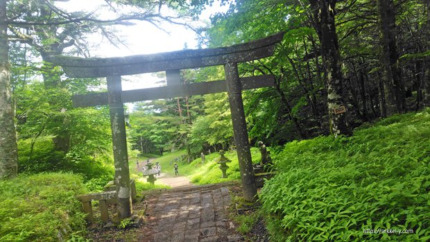 馬返しにある鳥居