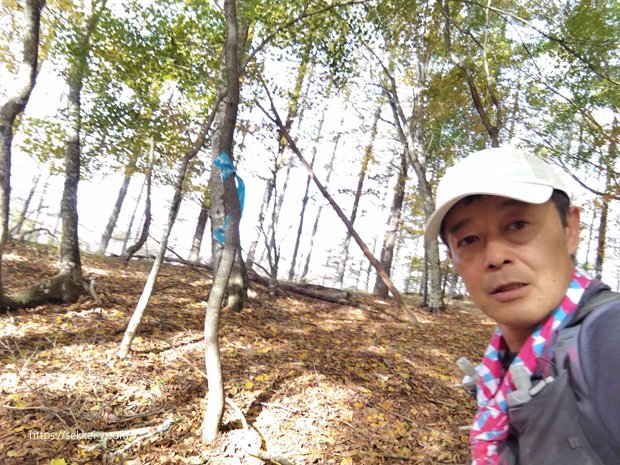 小金沢山へ向かう登り