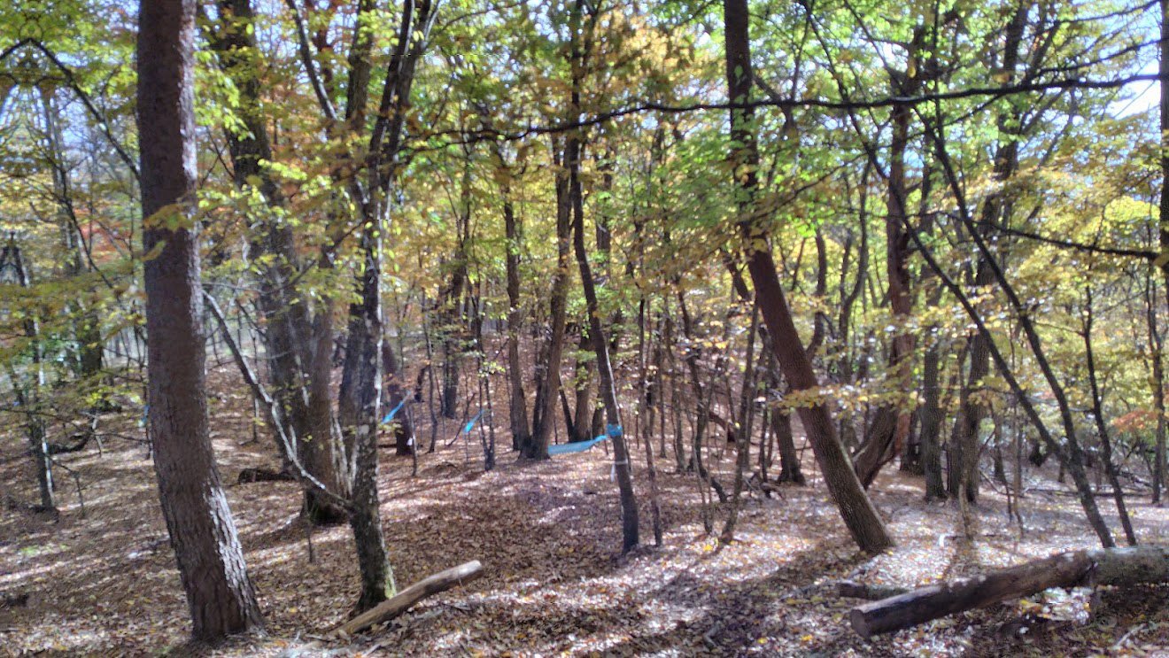 牛奥鴈ケ摺腹山からの下り