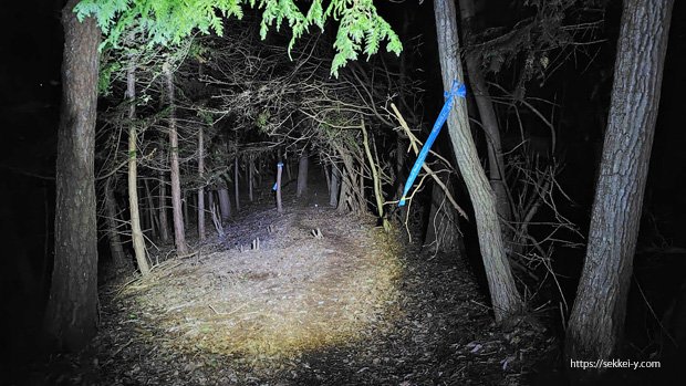 甲州アルプスリリー 最後の急登