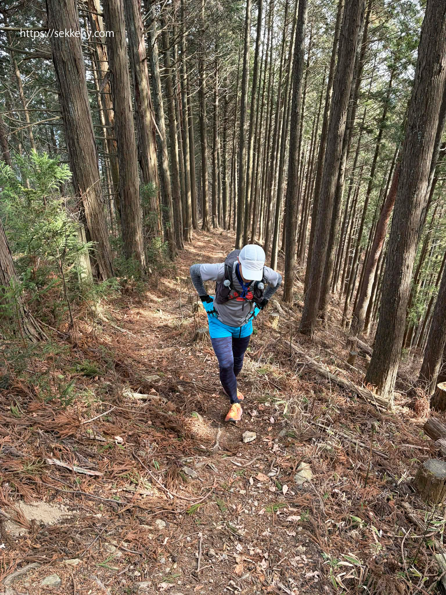 ハセツネ30試走