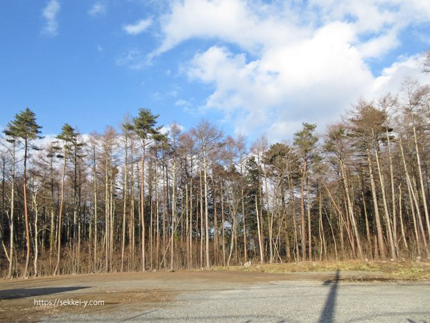 青木ヶ原樹海の広大な敷地