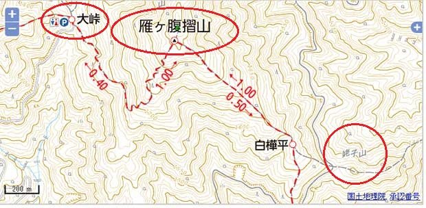 山梨百名山 雁ヶ腹摺山 　姥子山　山頂パスタ会