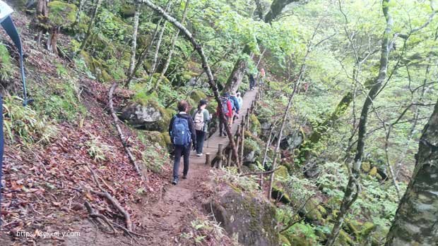 山梨百名山 雁ヶ腹摺山　登山道