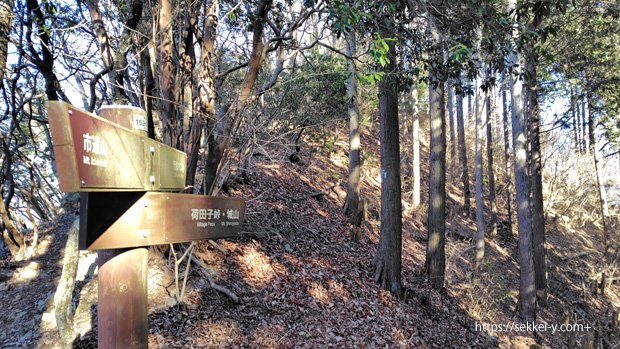 樹林帯を走る　コースが不明