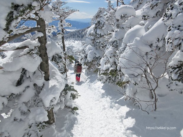 雪の北横岳　下山