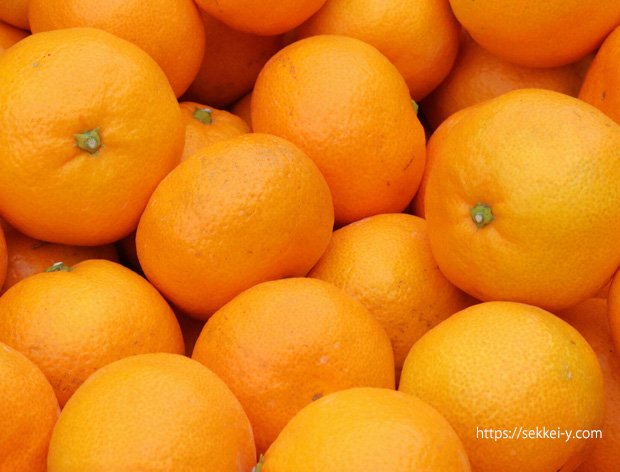 毎朝食べる　朝みかん