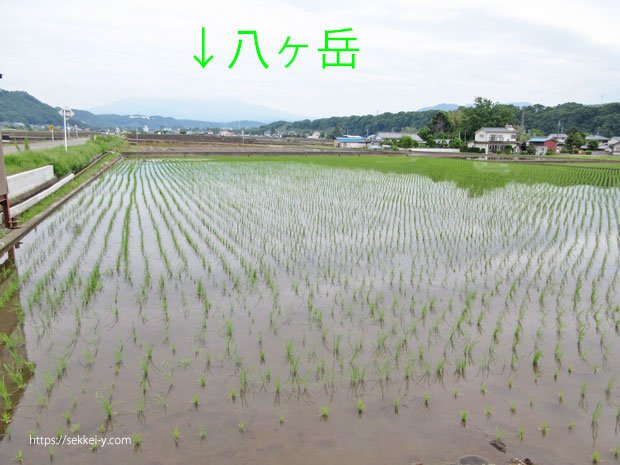 真っ直ぐに延びる農道　南方面には八ヶ岳