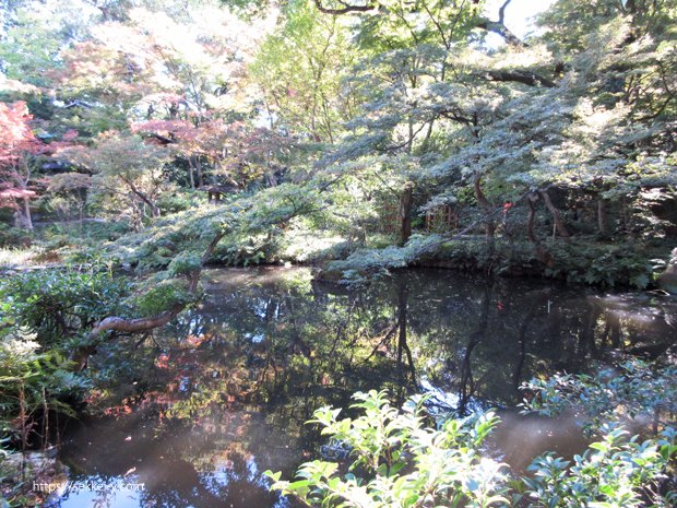 根津美術館の庭園