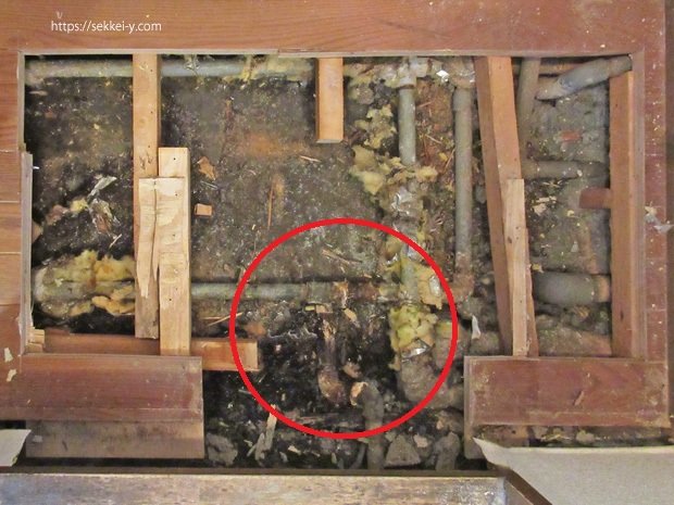 賃貸マンションの床下の漏水