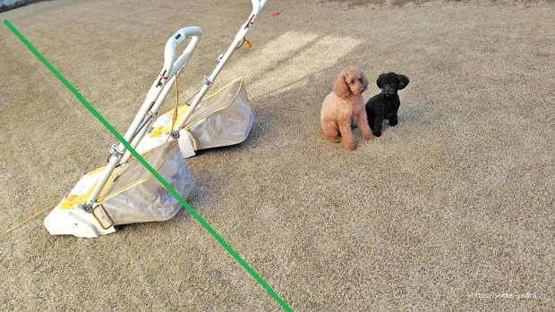 サッチ除去の前後 緑のラインで違いを確認