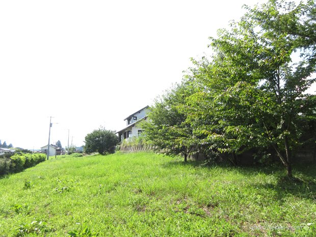 管理されている空き地