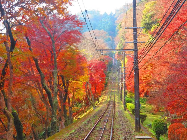 紅葉の高尾山