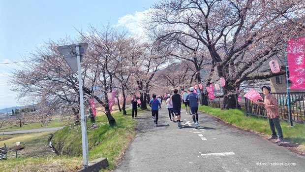 桜並木　南アルプス桃源郷マラソン１０キロレース