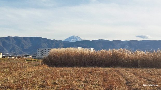 昭和町押越から見る富士山