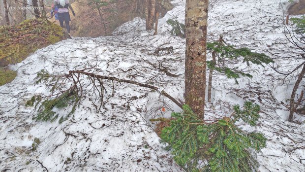 5月中旬　三ツ頭の雪
