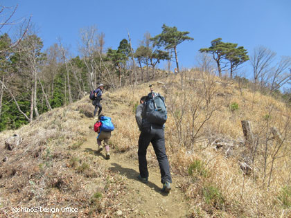 棚横手山　登山道