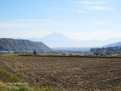富士山と景色を楽しむ
