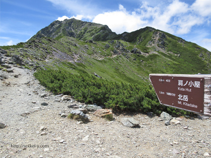 小太郎屋根分岐点から北岳