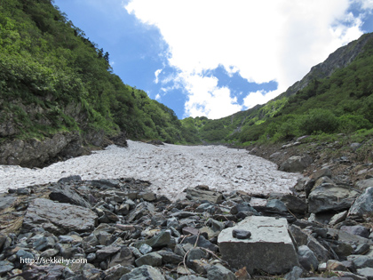 大樺沢の雪渓