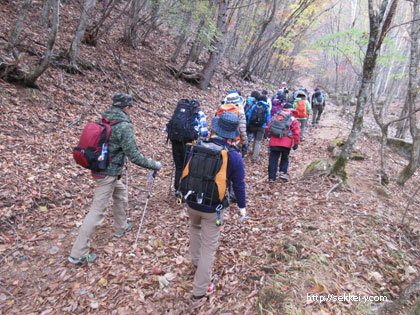 紅葉の瑞牆山