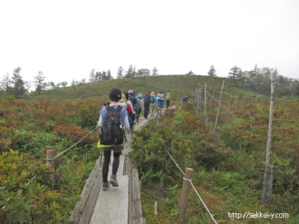 整備された登山道