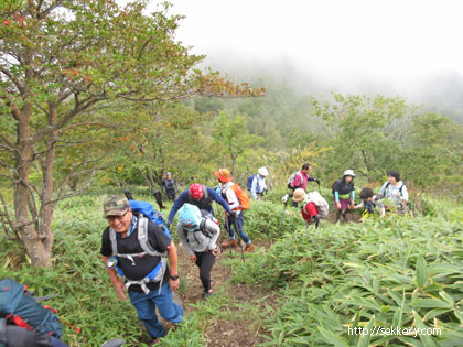 甘利山から奥甘利山