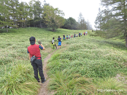 歩きやすい登山道