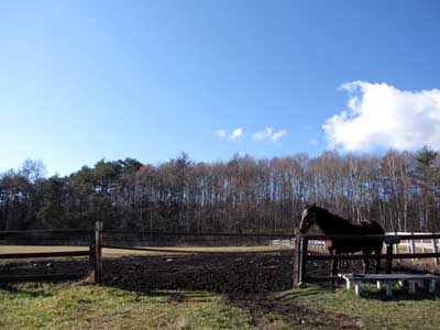 清里の牧場