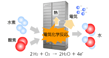 燃料電池