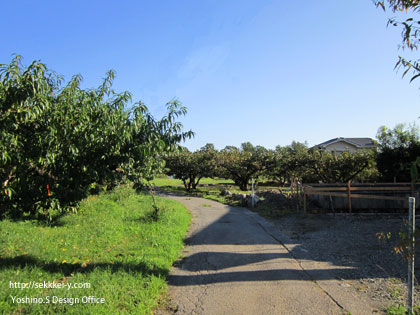 桃畑と柿畑に囲まれた敷地