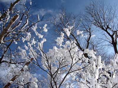 新潟県　豪雪地域
