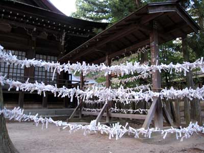 2010年　武田神社　初詣02