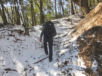 日向山ハイキングコース