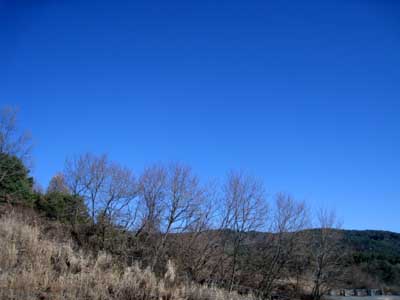 東北方面の景色