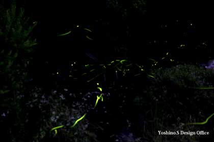 「ほたる童謡公園」