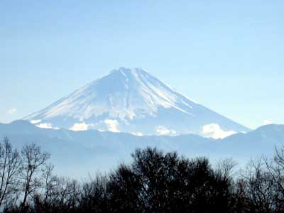 雪化粧する富士山