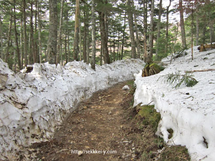八ヶ岳　硫黄岳登山　雪がある5月GWの登山道　