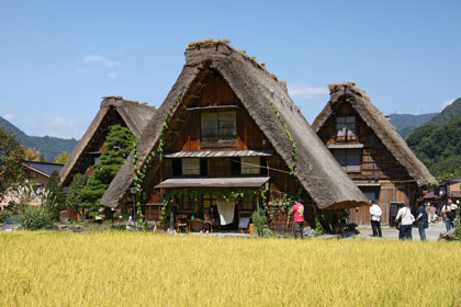 茅葺屋根の建築