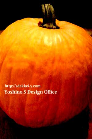 浮かび上がるかぼちゃ（ハロウィン）