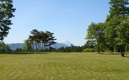 清里の森からみる富士山