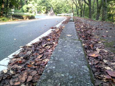 山梨県立こどもの国の峠道