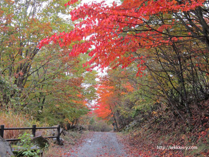 紅葉が始まっている乾徳山