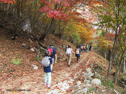 秋の紅葉を見ながら、楽しく登山