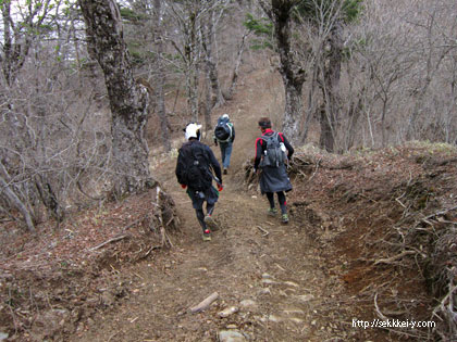 登山道を走ります。