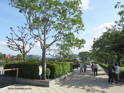 蓮華寺池公園　ウォーキング