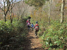 竜ヶ岳　登山道