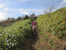 竜ヶ岳　登山道2