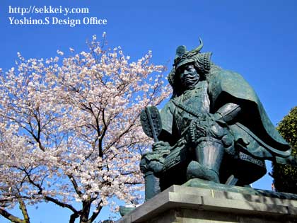 桜と武田信玄　