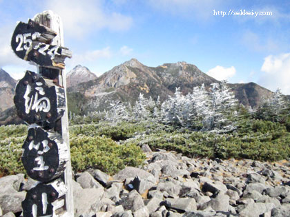 山梨百名山　八ヶ岳　網笠山